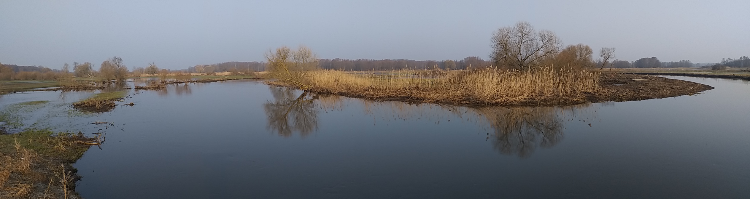 Meandrująca rzeka Krzna między Malową Górą a Neplami. Wiosenne rozlewiska. Spływy kajakowe z dzikierzeki-kajaki.pl. Meandrująca rzeka Krzna między Malową Górą a Neplami. Wiosenne rozlewiska. Spływy kajakowe z dzikierzeki-kajaki.pl.