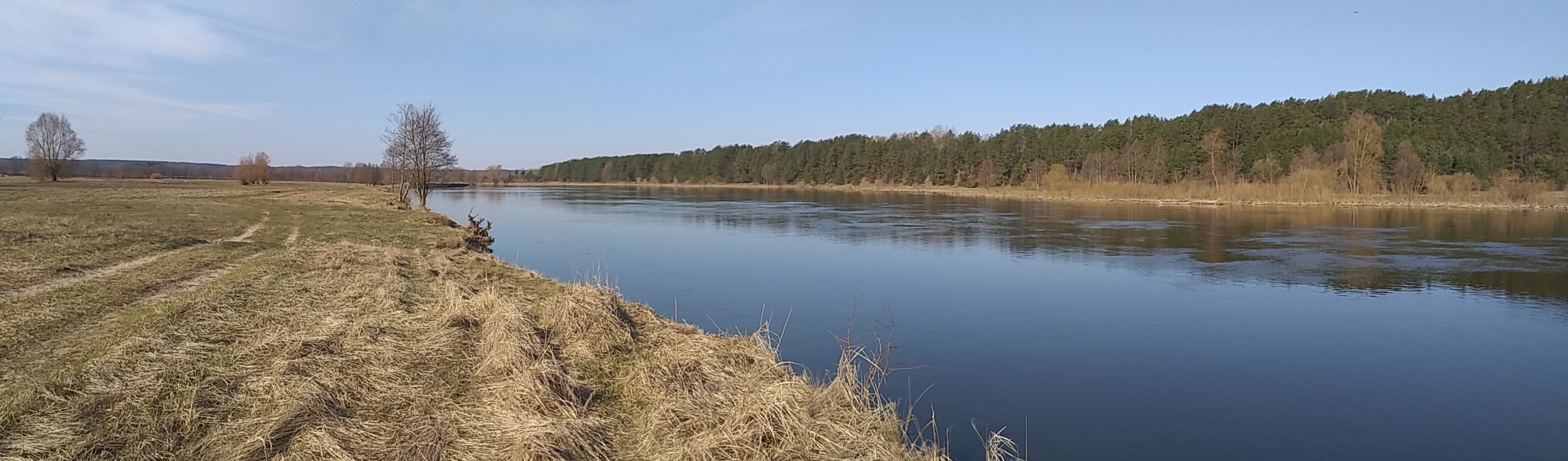 Wczesna wiosna na rzece Bug w Borsukach. Spływy kajakowe na wysokiej wodzie. dzikierzeki-kajaki.pl Wczesna wiosna na rzece Bug w Borsukach. Spływy kajakowe na wysokiej wodzie. dzikierzeki-kajaki.pl